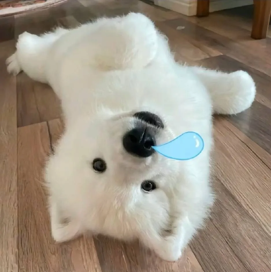傑的头像